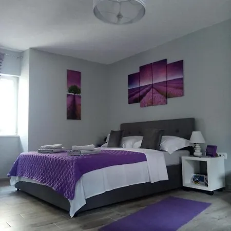 Apartment Elly